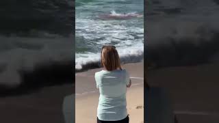 Sharks attack dolphin off Jersey Shore beach Shark Attacking Dolphin Near Shore [upl. by Oirobil]