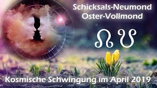 Astrologischer Ausblick April 2019 Die Kosmische Schwingung [upl. by Yecram]