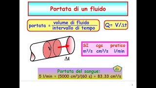 La dinamica dei Fluidi presentata da Mirking [upl. by Orestes]