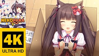 Episode 1  NEKOPARA Vol 1  Walkthrough No Commentary 4K [upl. by Eelyrehc242]