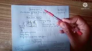 Hemoptysis and its etiology [upl. by Kcirrej]