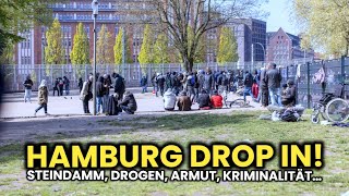 Der gefährlichste Bahnhof Deutschlands 😱🔥 Hamburg Hauptbahnhof Drop Inn 🤯 UNTERGANG [upl. by Lion]