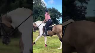 Découverte du CROSS ✨🔥 equitation cce cheval horse cross xcjumping [upl. by Annaxor483]