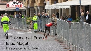 Il Calvario dellEroe Eliud Magut  Padovamarathon  Maratona del Santo 2014 [upl. by Yevre]