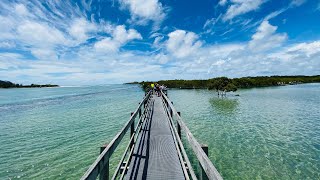 Urunga Boardwalk NSW [upl. by Rubens13]