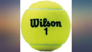 Wilson Championship Extra Duty Tennis Ball Case review [upl. by Pastelki]