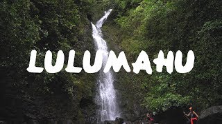 Lulumahu Falls Hike  Oahu Hawaii [upl. by Eilatan]