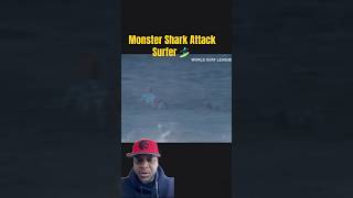 SHARK 🦈 ATTACKED SURFER 🏄‍♂️ shark surfing ocean shorts subscribe [upl. by Betsey]