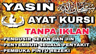 yasin dan ayat kursi merdu tanpa iklan pengusir setan dan pengantar tidur [upl. by Jana556]