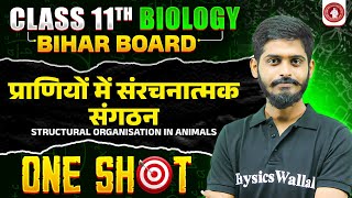 प्राणियों में संरचनात्मक संगठन  Structural organisation in animals   Class 11 Biology [upl. by Mala]