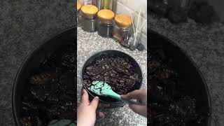 No Bake Chocolate Biscuit Cake Recipe 🧡Make your daily cooking easy [upl. by Ylloj]