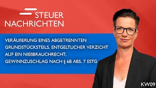 Veräußerung eines Grundstücksteils Nießbrauchrecht Gewinnzuschlag  Steuernachrichten Update 0924 [upl. by Raoul]