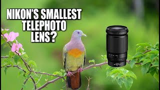 NIKKOR Z 28400mm f48 VR Lens Review  Nikons Smallest and Lightest Birding Lens [upl. by Nnahoj]