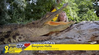 SOMMERTOUR Folge 4 Bergzoo Halle [upl. by Ennaed]