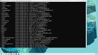 How to install Python geospatial libraries Gdal Fiona Rasterio etc under a Conda Env in Windows [upl. by Yekcim]