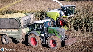 Mais häckseln auf schweren Lehmboden im Hang Claas Jaguar 990  Fendt Vario  John Deere [upl. by Yorker]