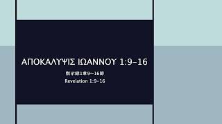 ΑΠΟΚΑΛΥΨΙΣ ΙΩΑΝΝΟΥ 1916・Revelation 1916・黙示録1916 Reconstructed Koine Greek Pronunciation [upl. by Garvin449]