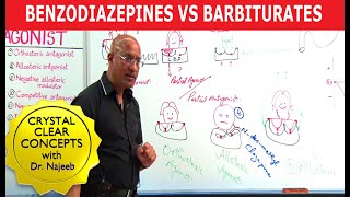 Benzodiazepines Vs Barbiturates  Pharmacology  Dr Najeeb Lectures [upl. by Royall893]