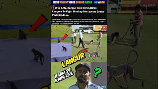 BCCI ने किये लंगूर Staff Hired 🤣 Most Funny News From India vs Ban 2nd Test shorts indvsban [upl. by Snapp]