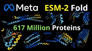 Meta ESM2 Fold  AI faster than Alphafold 2 [upl. by Endora]