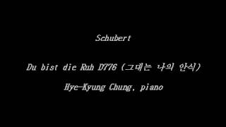 Schubert  Du bist die Ruh D776 그대는 나의 안식 Accompaniment [upl. by Nede]