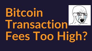 Are Bitcoin Transaction Fees Too High [upl. by Sabu]