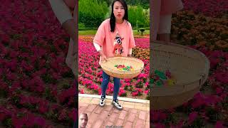 Asha24 funny comedyfilms video facts fruit funnycomedy [upl. by Aicirt]