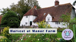 Harvest at Manor Farm step back in time to rural life in England and meet the farmyard animals [upl. by Nagem638]