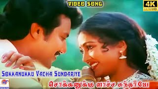 Sokkanukku Vacha SundariyeSuper Hit Tamil Love Duet Video Song [upl. by Willdon]