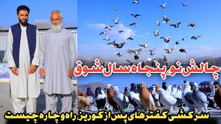 شوقی قدیم و با اصولگشت جانانه چهار سمت کفترKaftar Bazi In Taimani Kabul cityببینید و از لذت ببرید [upl. by Ellerol]