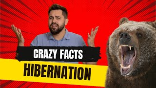 Do animals still eat during hibernation 😴🛌 animals interestingfacts curiouscreatures [upl. by Ojaras]