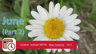 Calabrio Teleopti WFM  New Features June 2021 Part 2 [upl. by Niggem800]