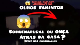 esses olhos assustador é ONÇA ou sobrenatural [upl. by Eanil942]