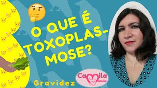 O que é toxoplasmose  camilamamae [upl. by Troxell]