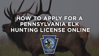 How To Apply For A Pennsylvania Elk Hunting License Online [upl. by Winther]