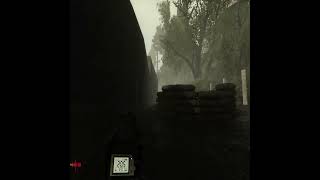 Cinematic Stalker Anomaly edit shortsvideo shorts short edit stalkeranomaly [upl. by Tj]