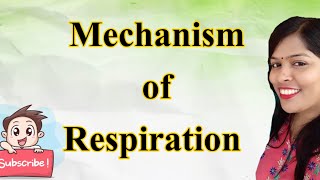 Mechanism of Respiration [upl. by Colville]