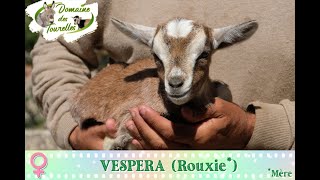 Diaporama de VESPERA Rouxie  2024 [upl. by Mareah]