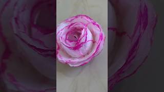 DIY Tissue Paper Rose Blooming Beauty with a Pink Touch💗🌹trendingshortsytshortstissuepaperflower [upl. by Jenei]