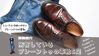 カジュアルで履きたいプレーントゥの革靴6足  Alden、Trickers、Churchs、Padrone、Danner [upl. by Kenon]