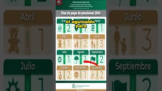 ¿cuando PAGAN el aguinaldo de la pension IMSS 2024 ¡Fechas de pago de la pension adultos mayores [upl. by Tremml712]