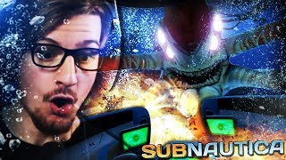 LEVIATHANS amp THE DEAD ZONE Never again  Subnautica Part 17 Full Release [upl. by Mehalick]