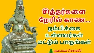 சித்தர்களை காண மந்திரம்  Siddhar Worship  Siddhar Vazhipadu [upl. by Saber761]