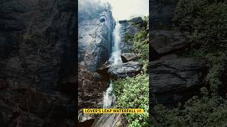 Beautiful Waterfall in Sri lanka 😍 ytshorts viral [upl. by Alahs]