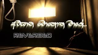 අවසාන මොහොත මාගේ Awasana mohotha mageslowedreverbedbass boostedcover [upl. by Ferguson]