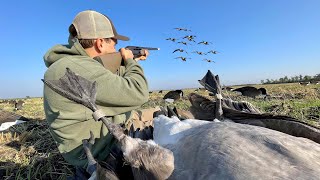 We shot A Rare Rivet Band while Goose Hunting Double Banded [upl. by Siuoleoj]