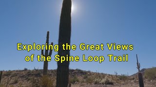 Exploring the Great Views of the Spine Loop Trail A Cactus Laden Desert Hiking Adventure [upl. by Town]