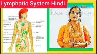 Lymphatic System  Hindi   Lymph  Lymph Nodes  Lymph Vessels  Introduction to Lymphatic System [upl. by Broeder]