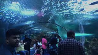 Jeddah aquarium fakieh [upl. by Christopher]