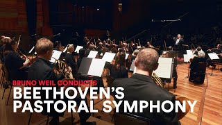 BEETHOVEN 6th Symphony Pastoral 1st Movement  on Original Instruments [upl. by Eddi669]